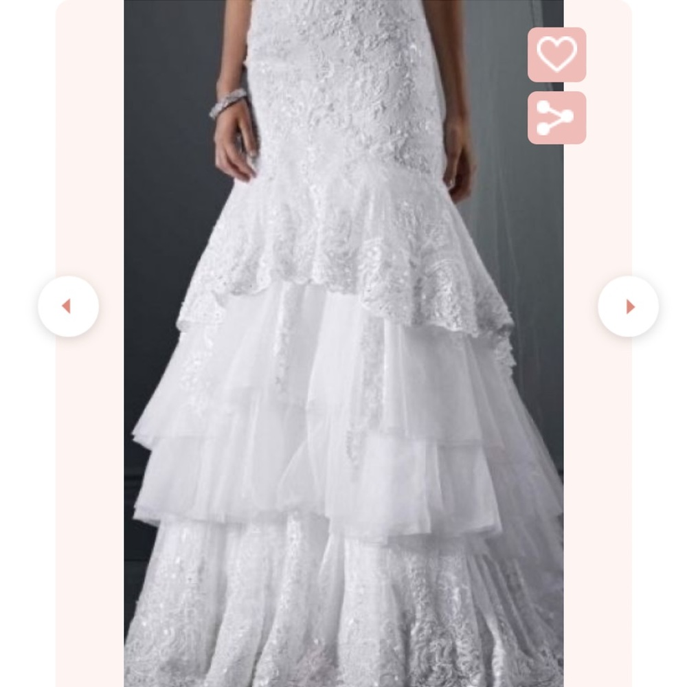 Wedding gown lace Chantilly? - Picture 10 of 10